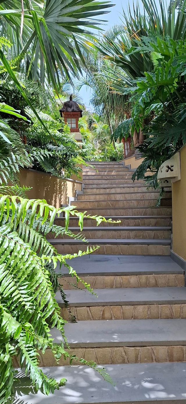 Bewandel de trappen naar de hemel - Tenerife