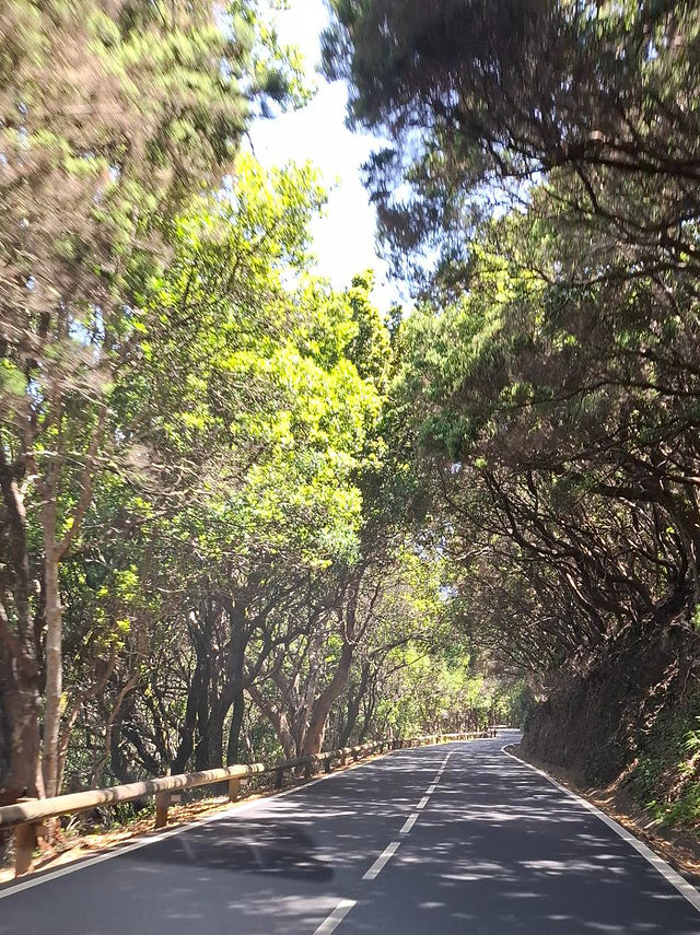 De Teide, vulkaan in een natuurpark met maandlandschap