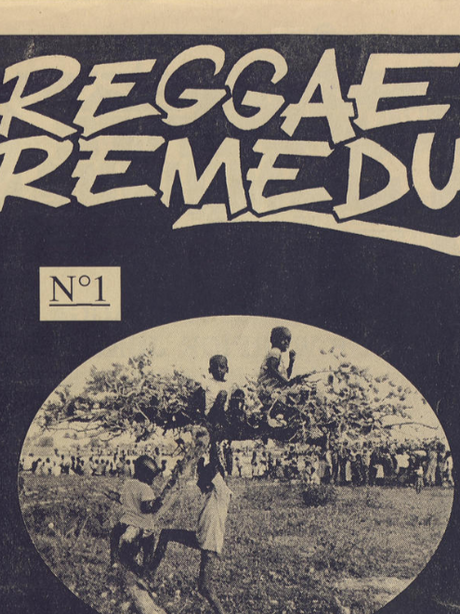 📙 Reggae Remedy N°1
