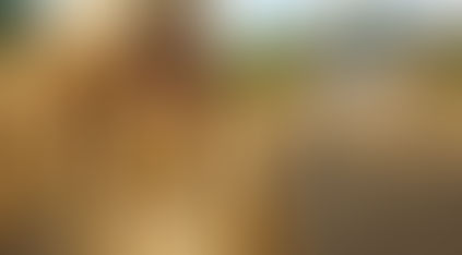 The Climate Change Cry and The Final Crisis