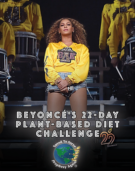 BEYONCE 22-DAY DIET.png