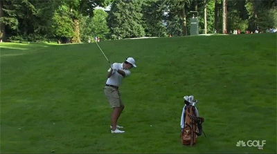 E83C6335-C1E4-4B7D-AF2A-C293786DF53A.gif