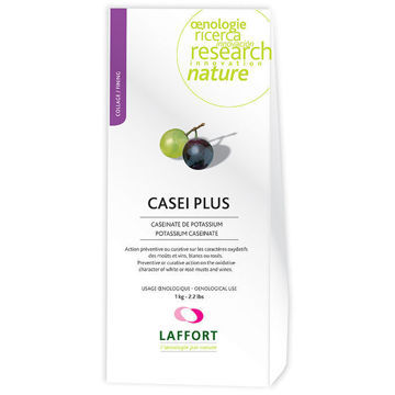 CASEI PLUS