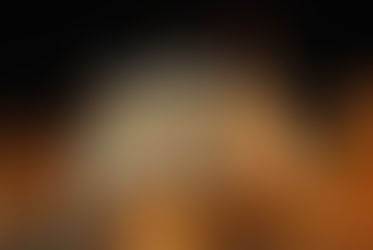 Projeto "Católicos voltem para casa".