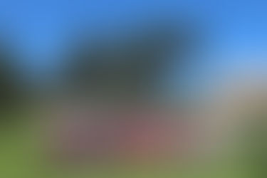  Viver e conviver como irmãos na fraternidade.