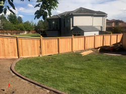 Custom Fence