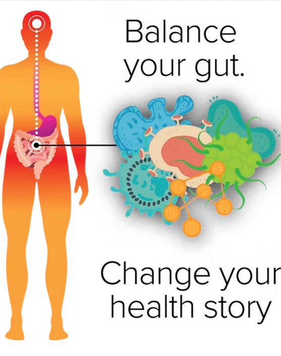 Heal Your Gut.jpg