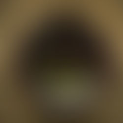 10 super-alimente pentru o dietă sănătoasă