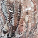HUMBOLDT-RAW-SQUID-LEGS_150x150px.jpg