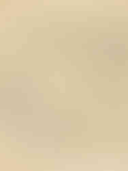 Zetaesse. Marco Versiero. La pratica del “canestrare i vinci” si è sedimentata nell’immaginario di Leonardo, non solo come pattern stilistico ma anche come cifrata allusione di matrice onomastica