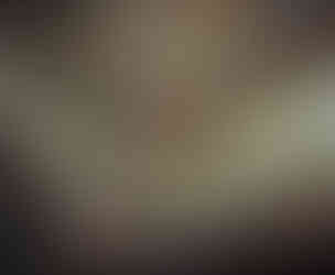 Zetaesse. Marco Versiero. La pratica del “canestrare i vinci” si è sedimentata nell’immaginario di Leonardo, non solo come pattern stilistico ma anche come cifrata allusione di matrice onomastica