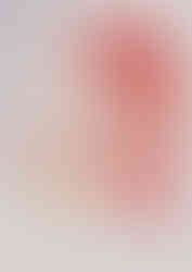 Zetaesse. Carla Di Feo. “In Levare”: togliere e al contempo restare sospesi a mezz'aria, osservando quel che succede