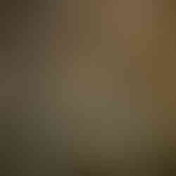 Zetaesse. Marco Versiero. La pratica del “canestrare i vinci” si è sedimentata nell’immaginario di Leonardo, non solo come pattern stilistico ma anche come cifrata allusione di matrice onomastica