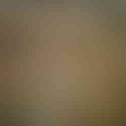 Zetaesse. Marco Versiero. La pratica del “canestrare i vinci” si è sedimentata nell’immaginario di Leonardo, non solo come pattern stilistico ma anche come cifrata allusione di matrice onomastica