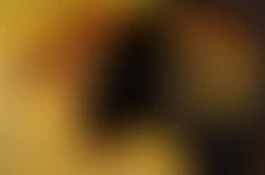 Zetaesse, Beppe Madaudo, "Testa di montone"