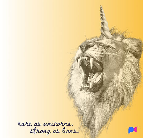 Project CASK Liocorn — rare as unicorns, strong as lions. The Liocorn is the symbol of the CASK gene disorder community, representing the strength and rarity of children living with CASK-related disorders including MICPCH and X-linked intellectual disability