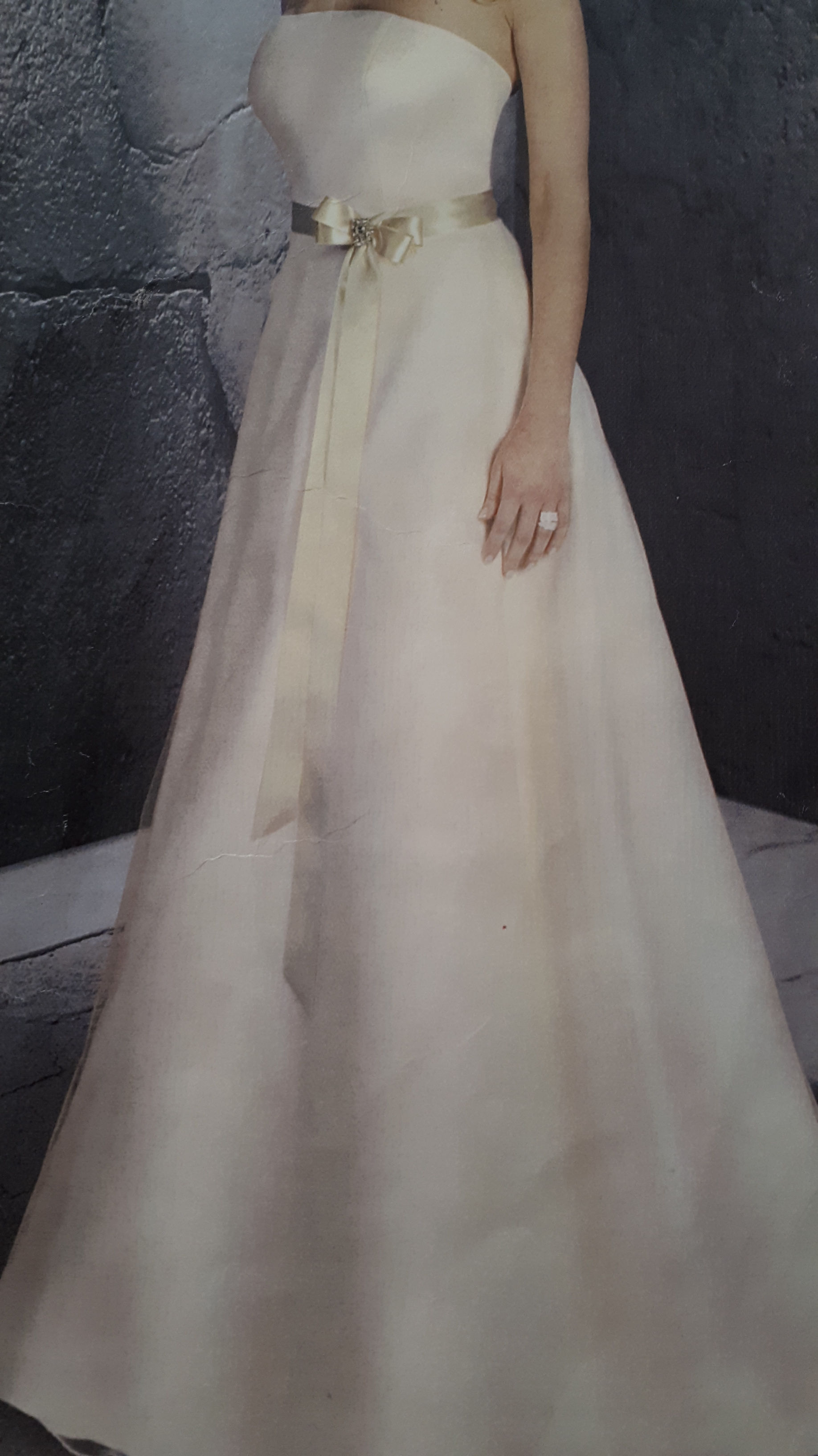 67-IVORY & CHAMPAGNE - SATIN & ORGANZA