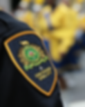 Bailiff Badge (3).png