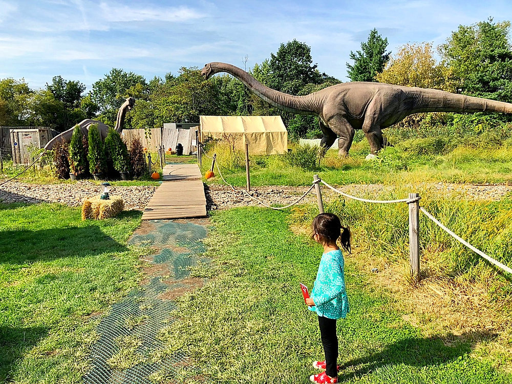 Events - NJ Field Station: Dinosaurs