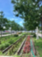 Long Island City, NYC hidden gem, Gantry Plaza State Park, Curious G and Me, NYC summer