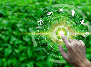 Sustainability-image.jpeg
