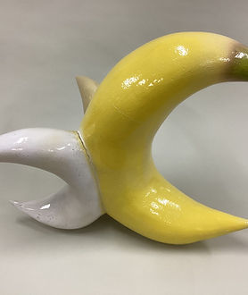 白い花