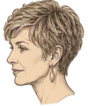 PaintedIconsPixie.WebP