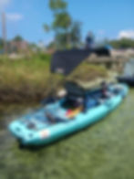 Bare-Naked-Kayaks-Spring Hill-FL-Adventure-Canopies-BNK1