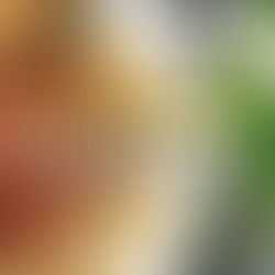 習い事日の夕食