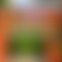 七五三おすすめの神社