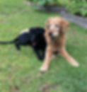 IMG_6587.jpeg