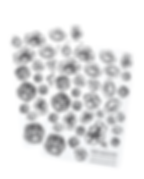 The Floral Sticker Sheet