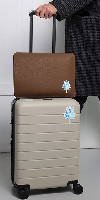 luggage stickers