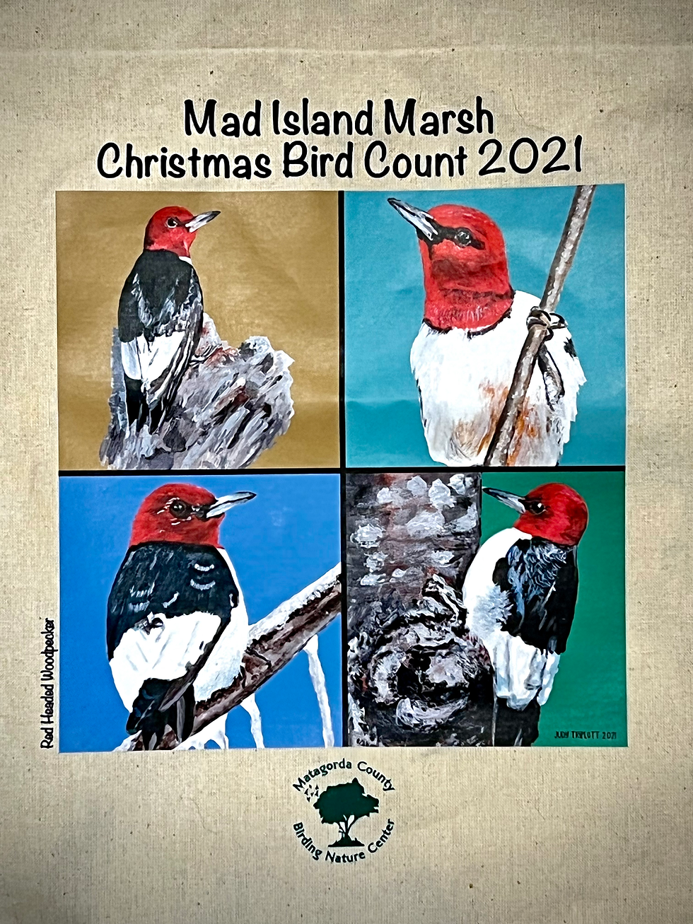 Thumbnail: Tote Bag from the Mad Island Marsh Audubon Christmas Bird Count 2021