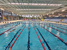 Swimming Laps