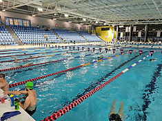 Swimming Laps