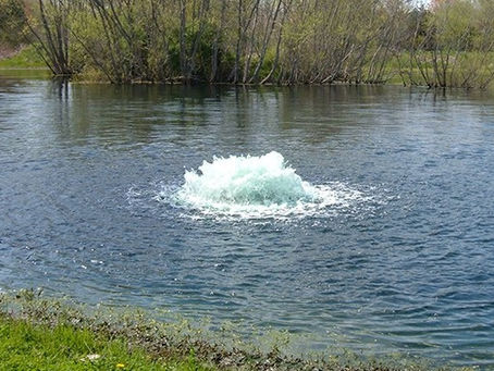 Do I need aeration in my pond?