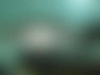 Can You Overstock a Pond?