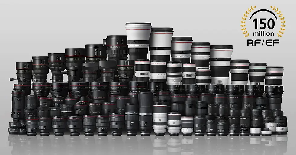 Stop Wasting Cash on Dead-End Tech: How to Choose a Canon Lens
