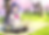2022_4月お花見.png
