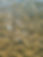 pexels-yuliya-duzhaya-284429113-36012463.jpg