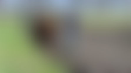 Our grower Auenhof Pabstthum and their start into the potato year