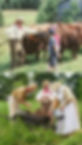DD1CAAAA-440D-4097-999A-F2A9522635E0.JPG