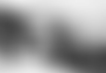 Licence of happiness