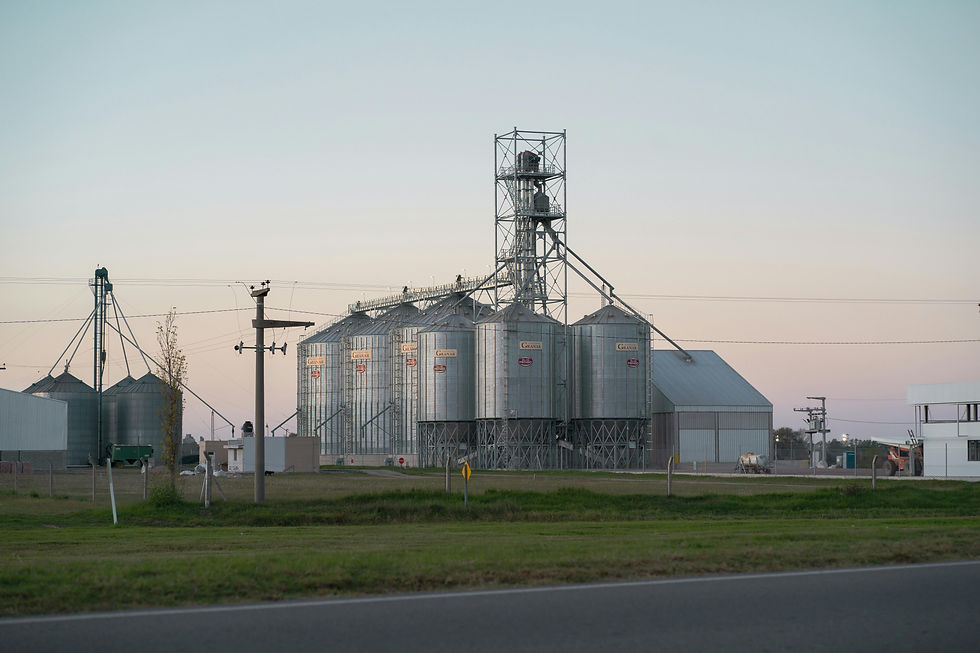 contruccion de una red comercial. planta de silos. 