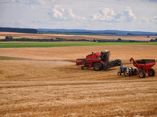 Rentabilidad de la inversión en campos agrícolas