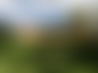 venta de propiedades rurales, desarrollo inmobiliario en Argentina, inversión en tierra productiva, subdivisión de terrenos, venta de lotes con financiación, comercialización de campos, proyectos inmobiliarios en desarrollo, propiedades con potencial de crecimiento, tierra para desarrolladores, inmuebles rurales con proyección, inversión en bienes raíces Argentina, venta de campos con respaldo legal, oportunidades inmobiliarias con visión, asesoramiento en inversiones inmobiliarias, lotes en San Antonio de Areco, propiedades para desarrolladores, compra de tierras con financiación, inmuebles productivos en venta, venta de campos con identidad local, comercializadora de desarrollos inmobiliarios.