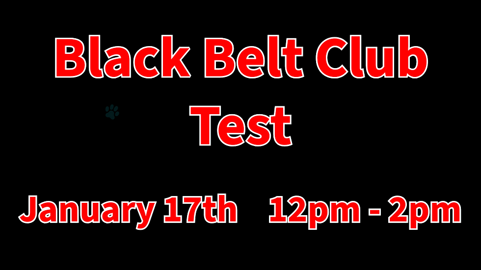 (12pm) Black Belt Club Test 