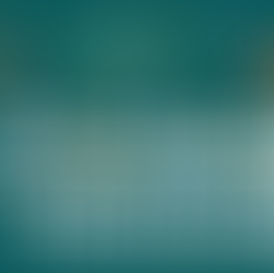 Outsource for Success