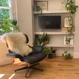 Eames lounge chair in a warm residential interior with timber flooring and plants